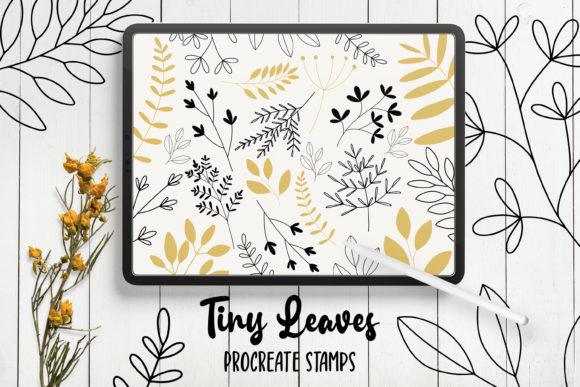 Download Hand Drawn Leaves Procreate Stamps - Hand drawn Collection