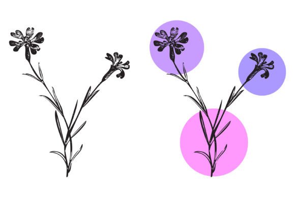 Download Botanical Hand Drawn Plants. Wildflowers - Hand drawn Collection