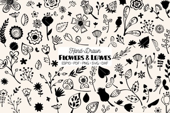Download Flowers &amp; Leaves | Hand Drawn Plants - Hand drawn Collection